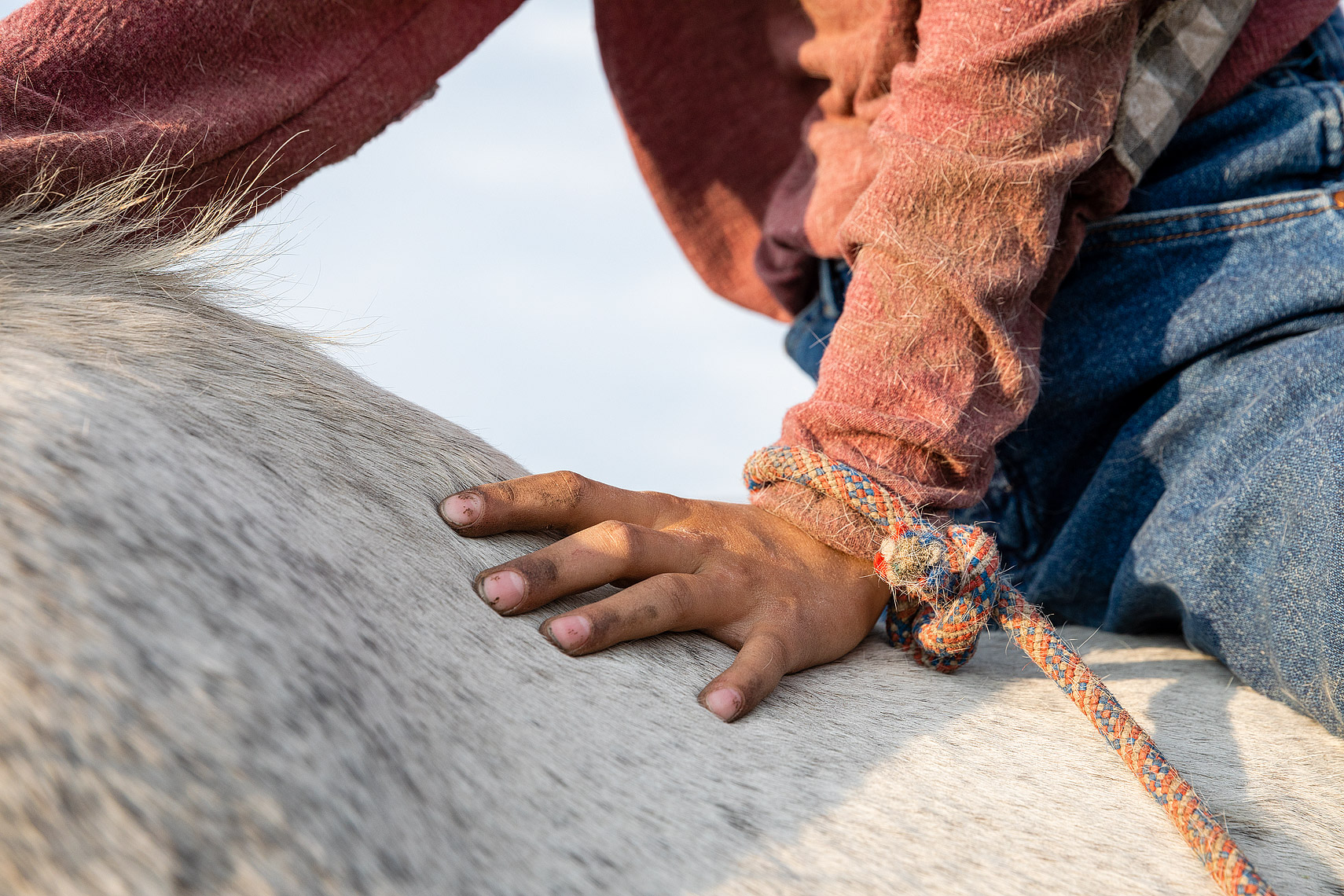2_FarmerGirls_02_FarmerGirls_Ellie-HarleyRanchGirls390_CC.JPG